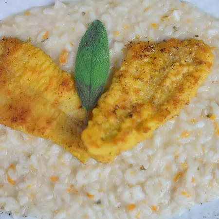 酒店 索莱酒店 塞斯托卡伦代